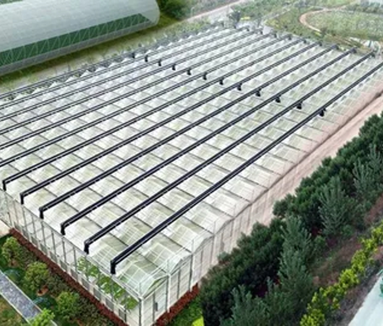 Engenharia de Estrutura de Aço do Projeto de Agricultura Digital Shanghai Alibaba